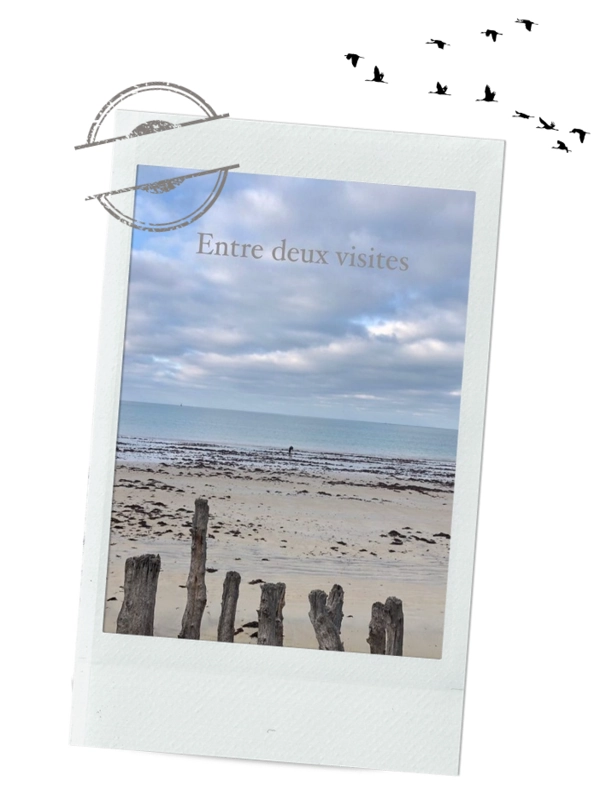 maitrise d'oeuvre dunes archi_Dunes Architecture interieur St Malo